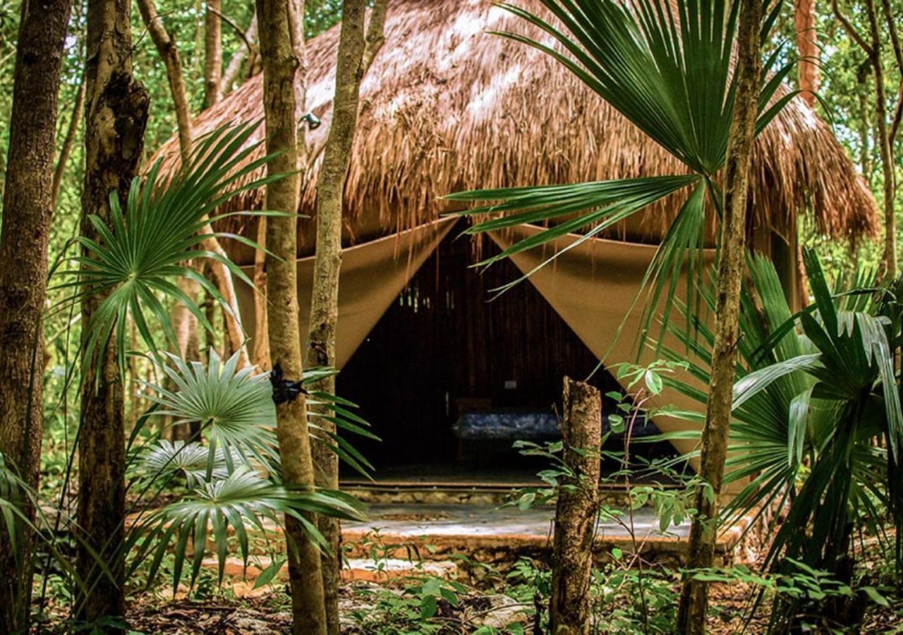 Akumal Natura Glamping Exterior foto